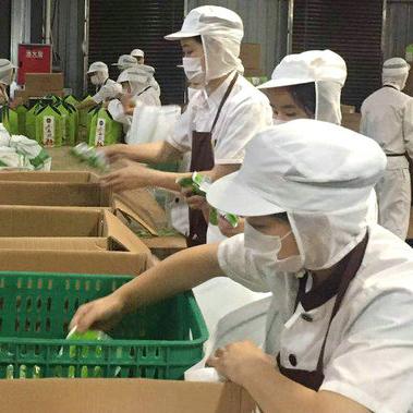 流沙最新烧烤店在哪里进货