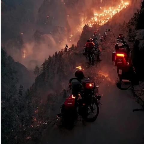一石三鸟