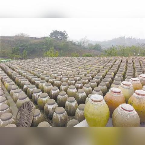潮汕地区181路公交车最新动态，全面更新路线信息，便捷出行从此开始